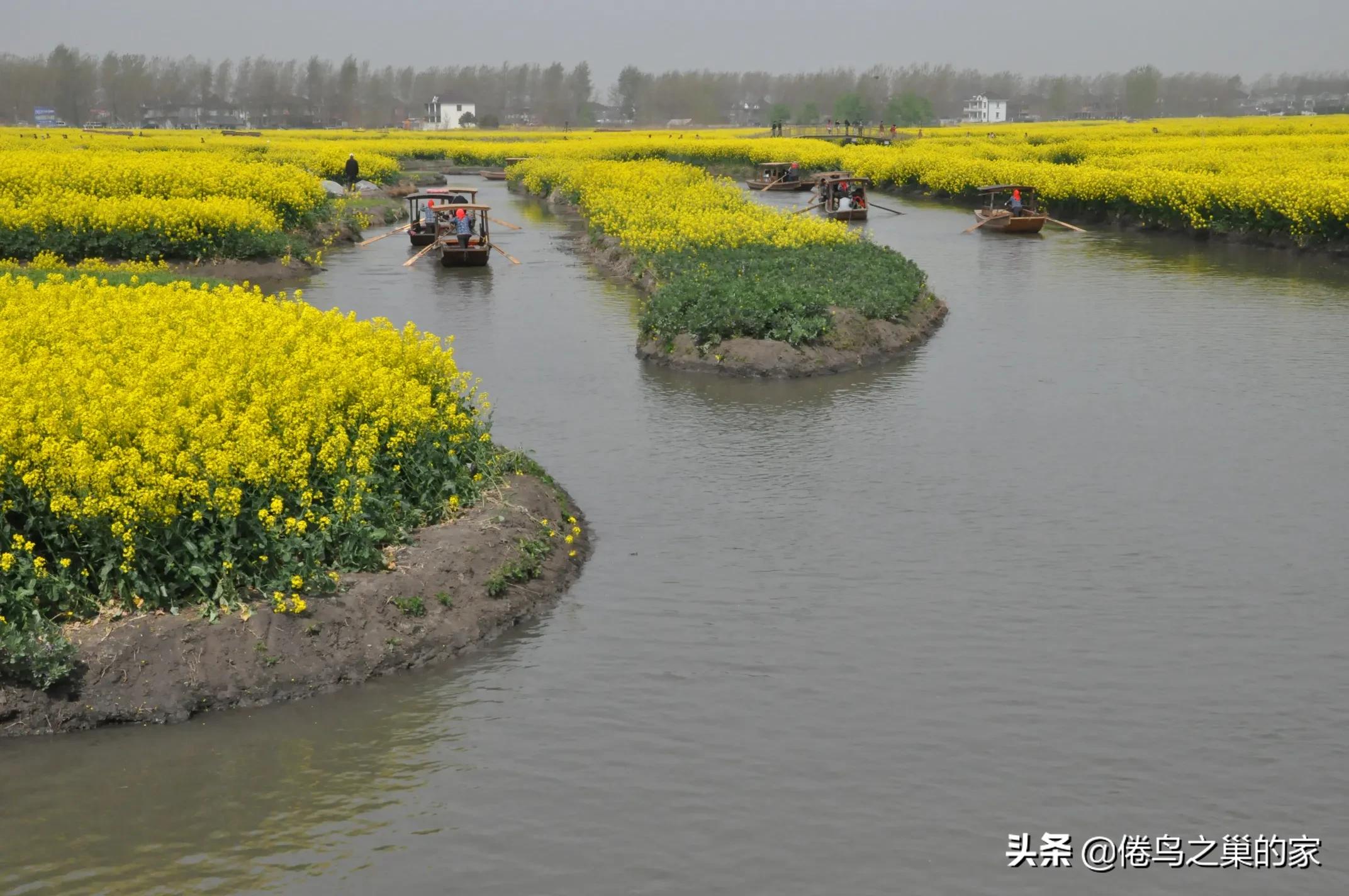 怎么把相册里的照片视频备份到电脑 怎么把相册里的照片视频备份